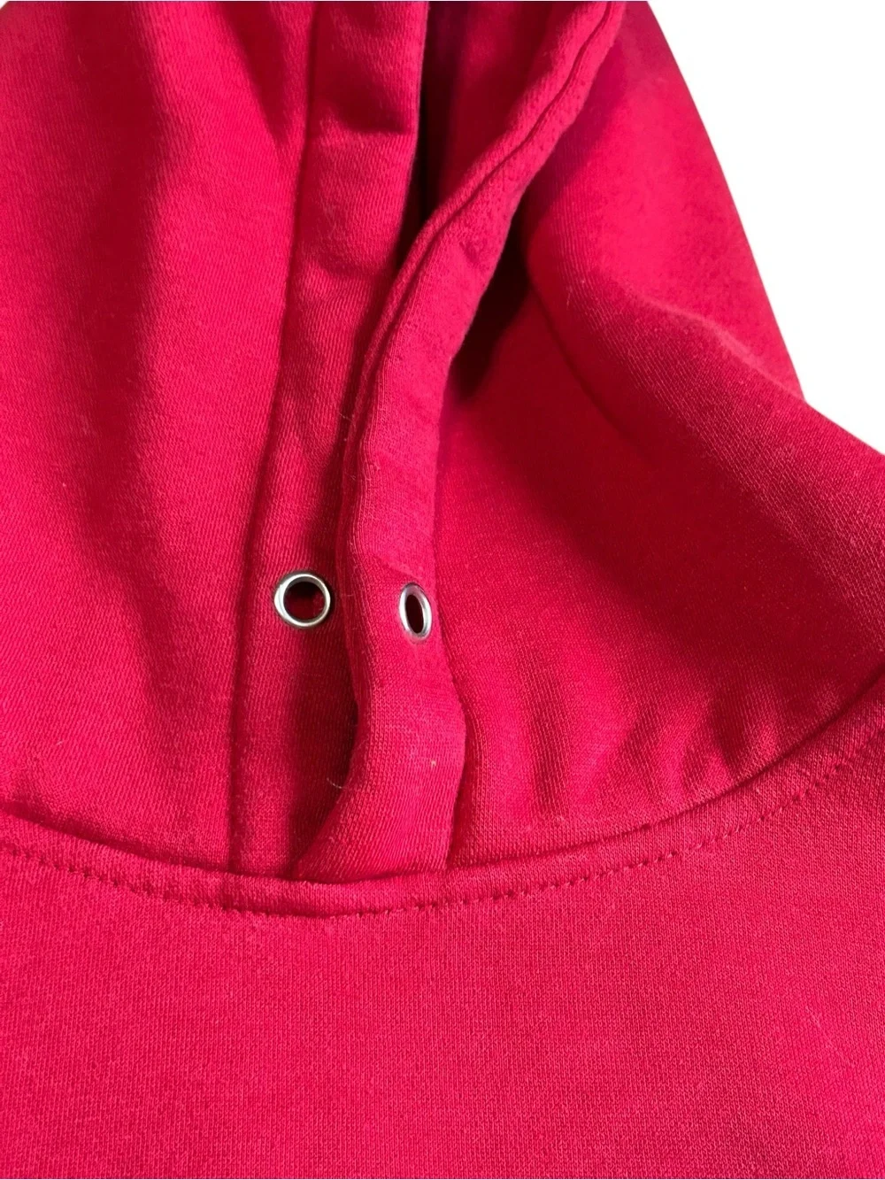 Vintage Champion Spellout Hoodie Red Distressed Y2K Large